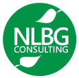 NLBG Consulting